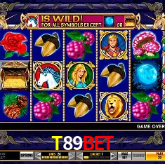 T89BET Salvador - Bonus Stats